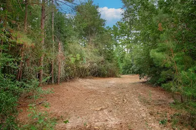 Tbd Sky Oak Lane, Huntsville, TX 77340 - Photo 8