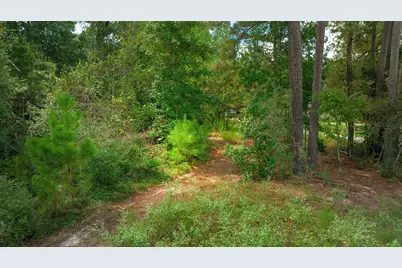 Tbd Sky Oak Lane, Huntsville, TX 77340 - Photo 18