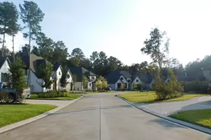 266 Monte Carlo Ln, Montgomery, TX 77316 - Photo 22