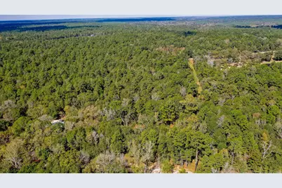 105 Gourd Creek Drive, Huntsville, TX 77340 - Photo 2