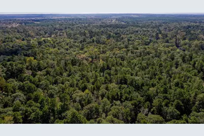 105 Gourd Creek Drive, Huntsville, TX 77340 - Photo 8