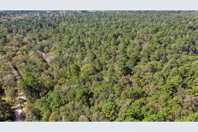 105 Gourd Creek Drive, Huntsville, TX 77340 - Photo 10