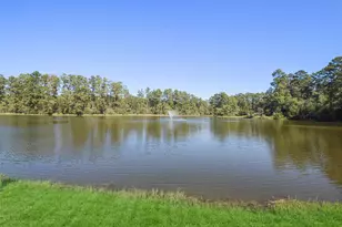 27918 Hansons Ct, Spring, TX 77386 - Photo 4