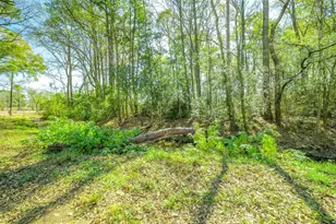 Lots 22-A - 26 Holly Springs Dr, Conroe, TX 77302 - Photo 14