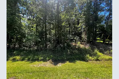 0 Hickory Ridge Drive, Coldspring, TX 77331 - Photo 2