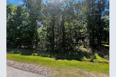 0 Hickory Ridge Drive, Coldspring, TX 77331 - Photo 1