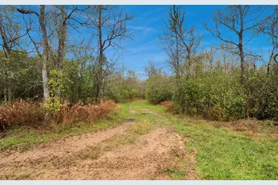 5523 Ehrman Lake Lane, Wallis, TX 77485 - Photo 32