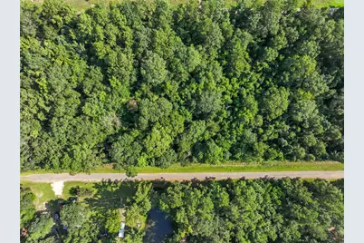 0 0 Dora Ln Lane, Shepherd, TX 77371 - Photo 2