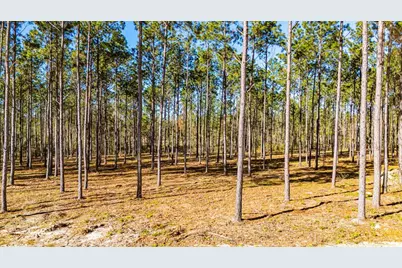 Lot 13 Big Buck Drive, Moscow, TX 75960 - Photo 1