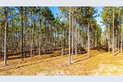 Lot 13 Big Buck Drive, Moscow, TX 75960 - Photo 10