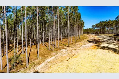 Lot 13 Big Buck Drive, Moscow, TX 75960 - Photo 8