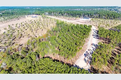Lot 13 Big Buck Drive, Moscow, TX 75960 - Photo 6