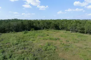 598 Vineyard View Trail, Carmine, TX 78932 - Photo 32
