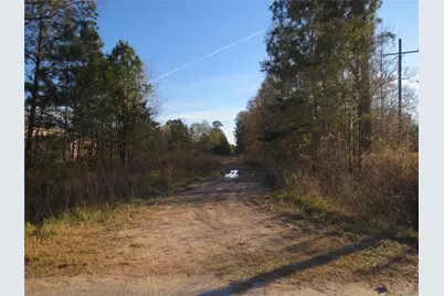 12 Acres Off W Relza Rd, Splendora, TX 77372 - Photo 2