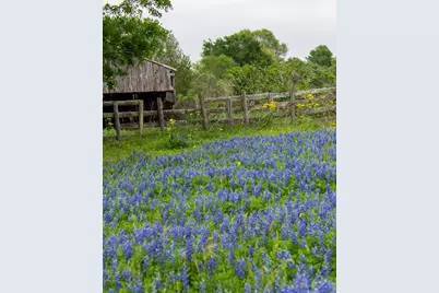 31027 Golden Felipe Street, Fulshear, TX 77441 - Photo 46