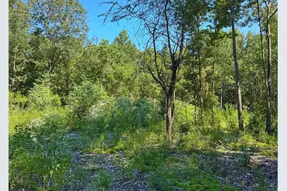 Tbd County Road 1331, Liberty, TX 77575 - Photo 4