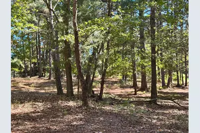 Tbd County Road 3568, Woodville, TX 75979 - Photo 20