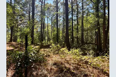 Tbd County Road 3568, Woodville, TX 75979 - Photo 24