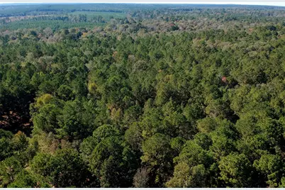 Tbd County Road 3568, Woodville, TX 75979 - Photo 14