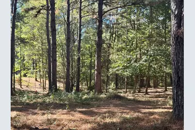 Tbd County Road 3568, Woodville, TX 75979 - Photo 18