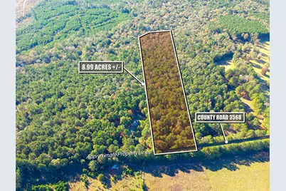 Tbd County Road 3568, Woodville, TX 75979 - Photo 1