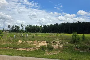 2321 Rd 5836, Cleveland, TX 77327 - Photo 2
