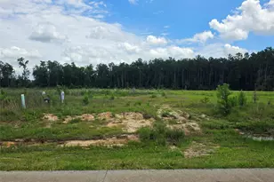 2321 Rd 5836, Cleveland, TX 77327 - Photo 8