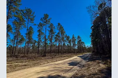 02 Boontown Road, Trinity, TX 75845 - Photo 2