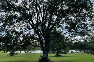 15719 Republic Ranch Rd N, Willis, TX 77378 - Photo 14