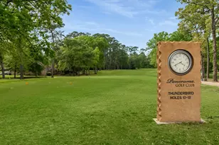 167 N Thunderbird Dr, Conroe, TX 77304 - Photo 30