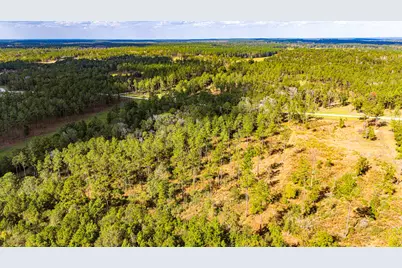 922 Rolling Pines Drive, Livingston, TX 77351 - Photo 12