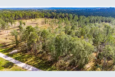 922 Rolling Pines Drive, Livingston, TX 77351 - Photo 10