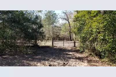 Tbd Linwood, Conroe, TX 77304 - Photo 4