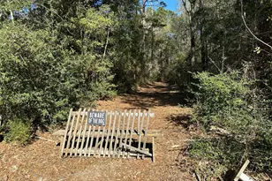 13878 Coaltown Road Rd, Willis, TX 77378 - Photo 14