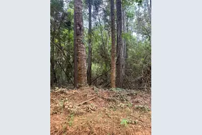 000 Camp Seale Rd, Livingston, TX 77351 - Photo 6