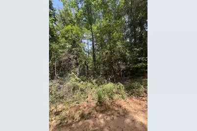 000 Camp Seale Rd, Livingston, TX 77351 - Photo 4