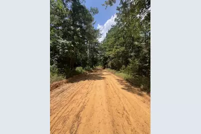000 Camp Seale Rd, Livingston, TX 77351 - Photo 2
