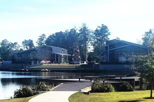 17463 Vino Vines Ln, Conroe, TX 77302 - Photo 42