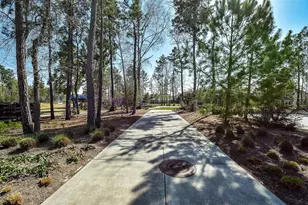 17463 Vino Vines Ln, Conroe, TX 77302 - Photo 44