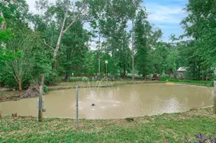 18233 Country Pl Dr, Conroe, TX 77302 - Photo 26