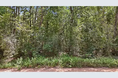 0 Josephine Road, Livingston, TX 77351 - Photo 16