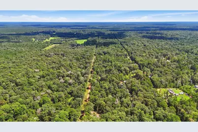 0 Josephine Road, Livingston, TX 77351 - Photo 10