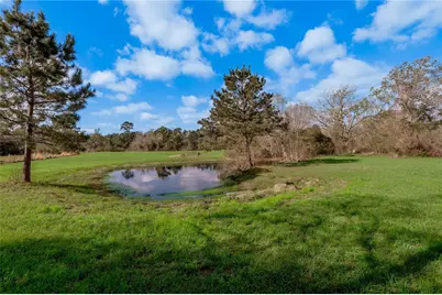 2155 W US Highway 287, Groveton, TX 75845 - Photo 26