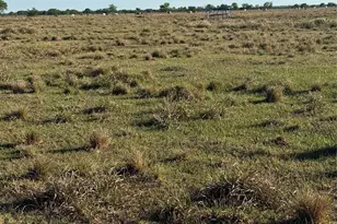 17136 Brumbelow Rd, Needville, TX 77461 - Photo 1