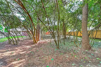87 N Auburn Path Circle Drive, The Woodlands, TX 77382 - Photo 38