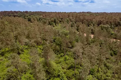 3134 Nursery Road, Livingston, TX 77351 - Photo 50
