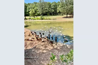 1789 Fm 2076, Crockett, TX 75835 - Photo 6