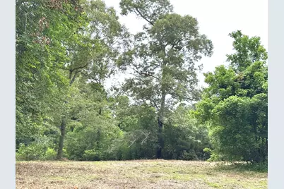 704 E Elder Street, Colmesneil, TX 75938 - Photo 36