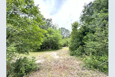 704 E Elder Street, Colmesneil, TX 75938 - Photo 10