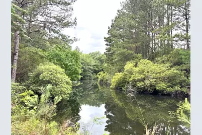 704 E Elder Street, Colmesneil, TX 75938 - Photo 4